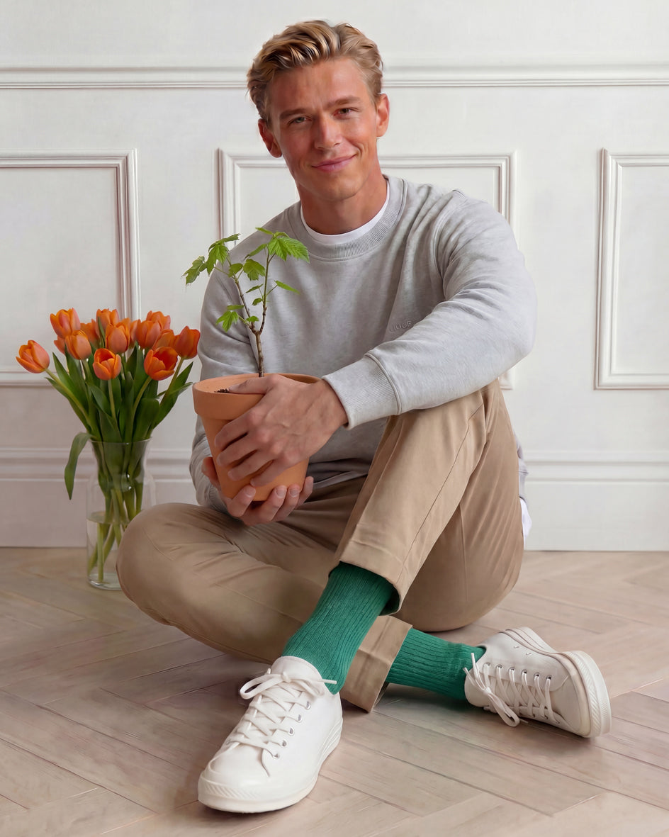 Democratique Socks organic cotton socks with Tree-Nation reforestation forest